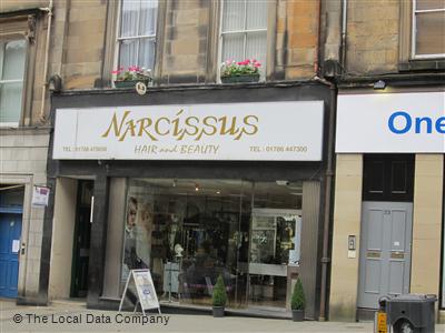 Narcissus Stirling