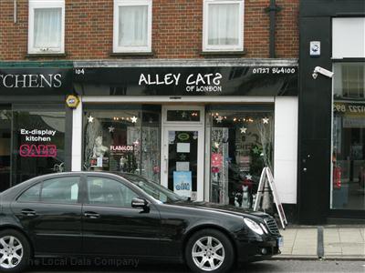 Alley Cats St. Albans