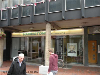 Haringtons Reading