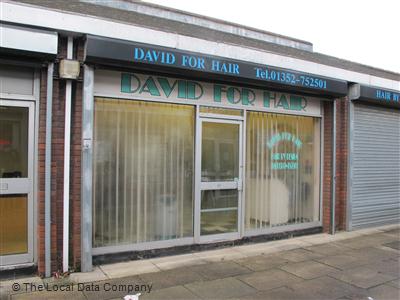David For Hair Mold