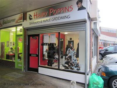 Hairy Pop-Ins Wokingham