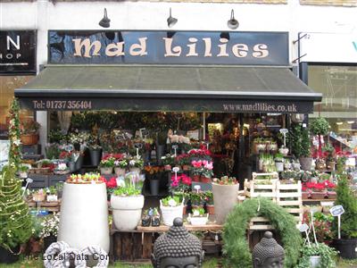Mad Lillies Banstead