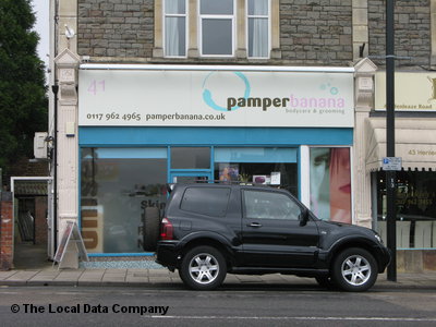 Pamper Banana Bristol